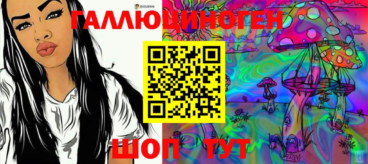 Губкин  Галлюциногенные грибы GOLDEN TEACHER  Вход с VPN 