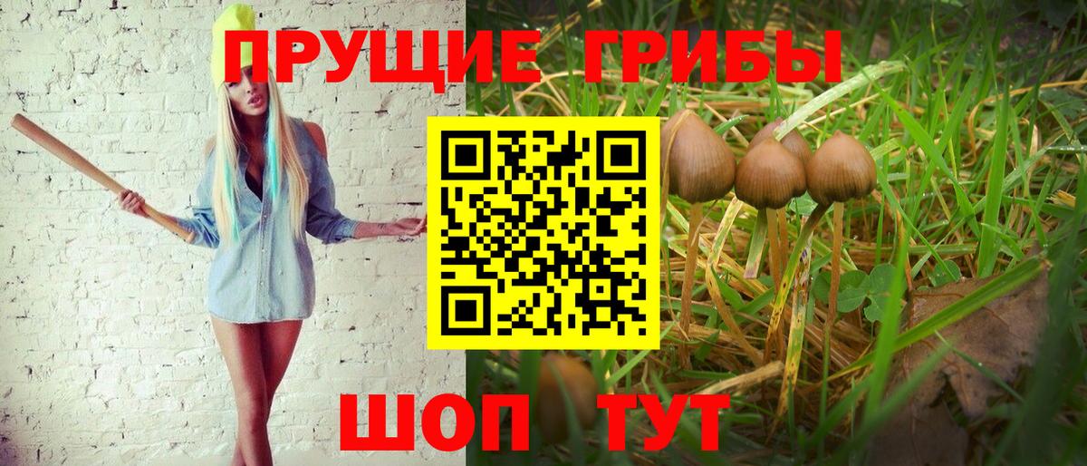 Псилоцибиновые грибы ЛСД Губкин
